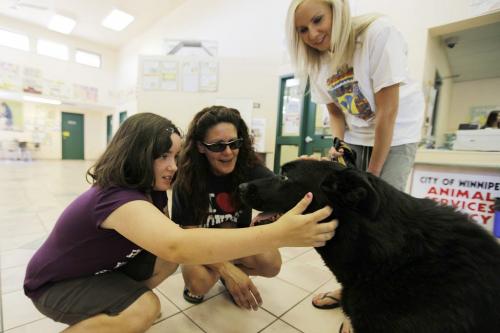 Volunteer Rachel Kendall (R) shows Nora, who has been at the city pound since May, to Suzanne Horyski and her daughter Jesse Friday, July 29, 2011.  John Woods/Winnipeg Free Press