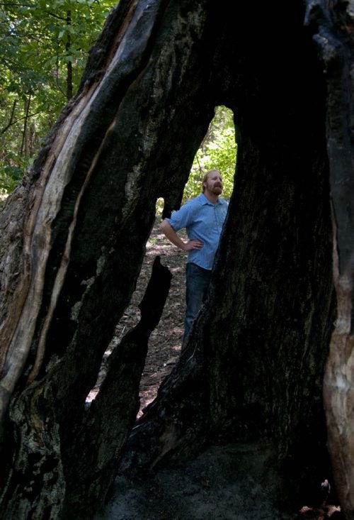 City Naturalist, Rodney Penner, examines a cottonwodd tree in Mcbeth Park. The tree is around 200 years old  and has huge cavity that has been recetly used as a firepit, presumably by local youth. The fire damage may cause the tree to buckle and collapse eventually. Story by Ian Tizzard. August 4, 2011 (HADAS PARUSH / WINNIPEG FREE PRESS)