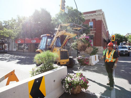 Brandon Sun 17082011 Workers with the City of Brandon install potted plants and flower baskets on Rosser Ave. between 9th St. and 10th St. on Wednesday morning as the downtown pedestrian mall is prepared to be opened to the public.  (Tim Smith/Brandon Sun)