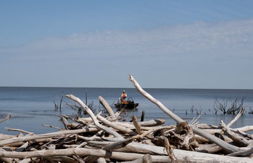 Drift wood has piled up on a shore along Lake Winnipeg from overflowing and rising water levels. Story by Bartley Kives. August 22, 2011. (HADAS PARUSH / WINNIPEG FREE PRESS)