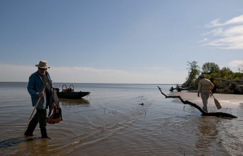 Brothers Dennis (left) and Jim Anderson tour the forests and beaches they grew up on near the Libau-Netley wetlands. Washed  up trees and branches indicate the overflowing of Lake Winnipeg where many beaches have been pushed back by rising water levels.  Story by Bartley Kives. August 22, 2011. (HADAS PARUSH / WINNIPEG FREE PRESS)