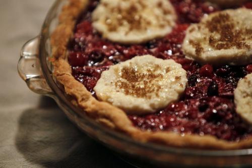 RECIPE SWAP - Cranberry - Raisin Pie.  August 28, 2011 (BORIS MINKEVICH / WINNIPEG FREE PRESS)