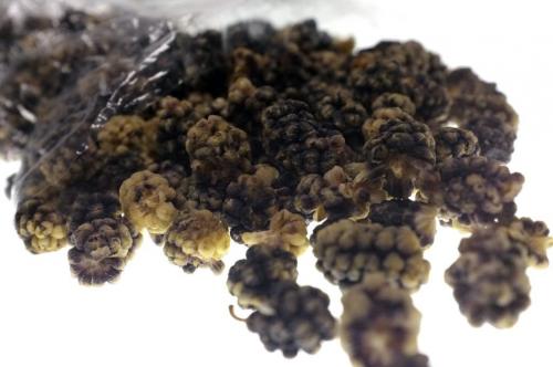 mystery ingredient black mulberries winnipeg free press