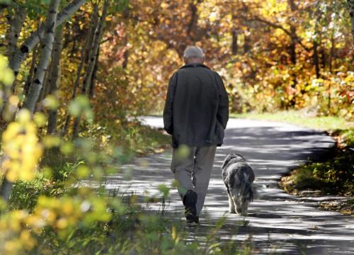 Perfect Day- Paul Buteux walks  his dog Cassie Tuesday on the Sagimay Trail in Assiniboine Forest enjoying a almost perfect  fall day in Winnipeg- Standup photo  September 27, 2011   (JOE BRYKSA / WINNIPEG FREE PRESS)