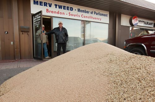 Brandon Sun 04112011  Westman farmer Fred Tait looks at a large pile of grain sitting in front of MP Merv Tweed's constituency office on 18th St. N. as he exits the office with fellow farmer Reed Wolfe after voicing their opposition to the federal government's plan to end the Canadian Wheat Board monopoly on Friday morning. (Tim Smith/Brandon Sun)