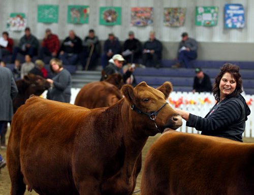 Brandon Sun Corinne Gibson is all smiles after winning a ribbon in a national Angus breed show, Saturday afternoon at the Keystone Centre during the Livestock Expo. Gibson travelled from Fir Mountain, Saskatchewan to take part in the annual event. (Colin Corneau/Brandon Sun)