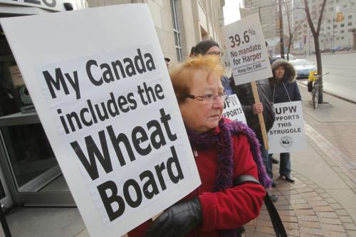 Supporters of the Canadian Wheat Board marched on Parliament Hill and outside the agency's Winnipeg headquarters today. Mary-Jane Stefansson from Beausejour, MB.  November 15, 2011 (BORIS MINKEVICH/ WINNIPEG FREE PRESS)