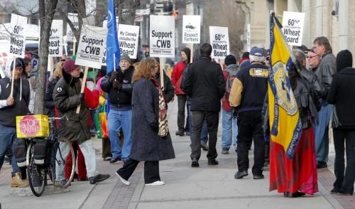 Supporters of the Canadian Wheat Board marched on Parliament Hill and outside the agency's Winnipeg headquarters today.  November 15, 2011 (BORIS MINKEVICH/ WINNIPEG FREE PRESS)