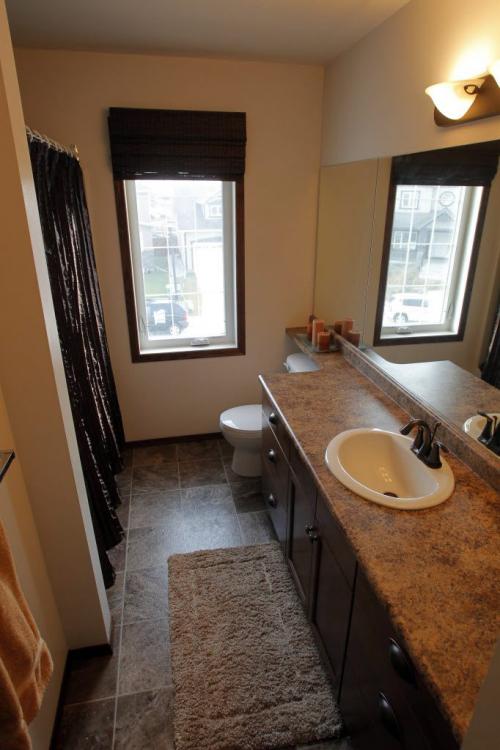 RESALE HOMES - 96 Appletree Crescent.  Bridgewater Forest. November 15, 2011 (BORIS MINKEVICH/ WINNIPEG FREE PRESS)