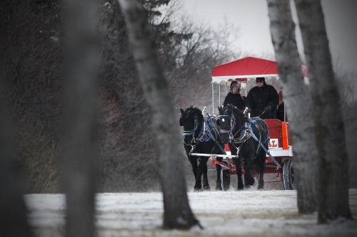 December 4, 2011 - 111204  -  People go for a horse cart ride at the Red River Christmas event at Lower Fort Garry Sunday, December 4, 2011.   John Woods / Winnipeg Free Press