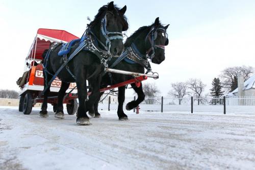 December 4, 2011 - 111204  -  People go for a horse cart ride at the Red River Christmas event at Lower Fort Garry Sunday, December 4, 2011.   John Woods / Winnipeg Free Press