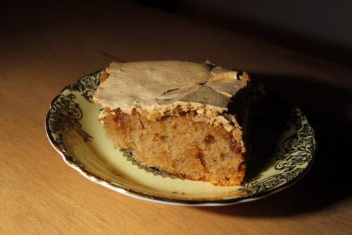 Quick Spice Cake. December 5, 2011(BORIS MINKEVICH / WINNIPEG FREE PRESS)