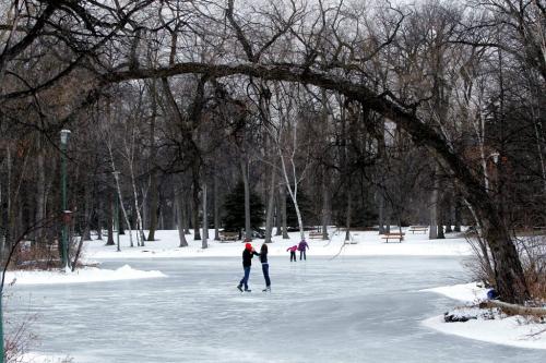 Some lovers embrace on St. Vital Park pond under the scenic background of a arched trees and sparkling snow. The pond at the park was perfectly smooth and must have been flooded in the last day or so.  December 22, 2011 BORIS MINKEVICH / WINNIPEG FREE PRESS
