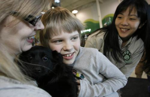 John Woods / Winnipeg Free Press / January 13/07 - 070113  - Noah Falk (8) and his mother Kalyn (L) are excited to meet a young Sheltie/Pomeranian pup at the Petland on Pembina January 13/07. Noah is autistic and was at the pet store to bring attention to Noah's Bark Social this February 3/07 at the Centro Caboto.  The social will be used to raise part of the $18000 it will take for the Falks to purchase a service dog from the National Service Dogs.  Christine Salim, store manager, looks on and is supporting the Falks.