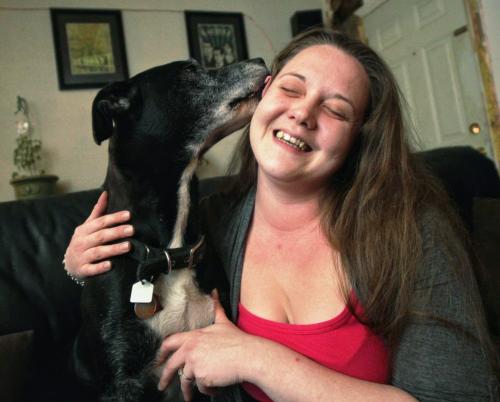 Dozer, 9, a lab boxer cross was finally reunited with his family, Cheryl Desrosiers, after spending fifty one days, Nov 18 - Jan 09, loose.  120113 Mike Deal / Winnipeg Free Press