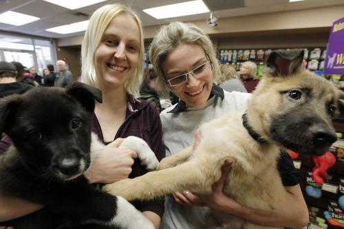 January 15, 2012 - 120115  -  (LtoR) Becky Nordquist, director of Manitoba Mutts, and Lisa Rasmussen, Foster home co-ordinator of Manitoba Mutts show off Brooklyn and Bishop at an adoption event at Pet Valu Sunday January 15, 2012.    John Woods / Winnipeg Free Press
