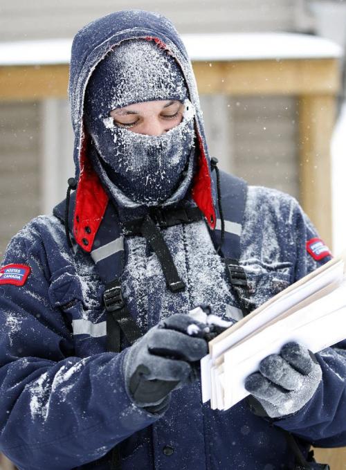 SDTUP- No Freezing cold nor  blistering wind chills will keep this postal carrier from hid appointed rounds - A snow covered Richard Hughes delivers the mail on Burrow Ave near Arlington Wednesday  - KEN GIGLIOTTI /  WINNIPEG FREE PRESS /  Jan. 18 2012
