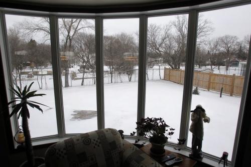 House for resale - 88 Settlers Road. View of the back yard from inside. January 30, 2012 BORIS MINKEVICH / WINNIPEG FREE PRESS