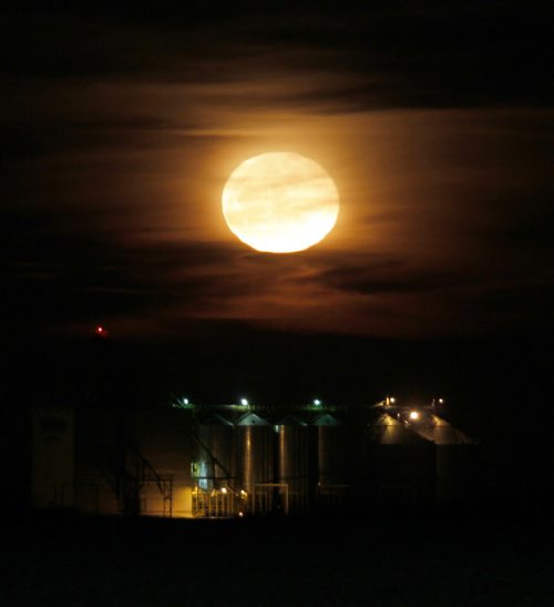 Moon rises over a grain elevator near Dauphin, MB. February 8, 2012 BORIS MINKEVICH / WINNIPEG FREE PRESS