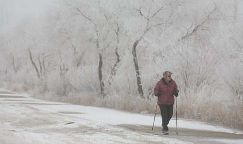Brandon Sun Assiniboine Community College nursing instructor Brenda Kerswell gets in her daily half-hour walk along the walking trails on Victoria Avenue East which were lined with hoarfrost covered trees on Thursday morning. (Bruce Bumstead/Brandon Sun)