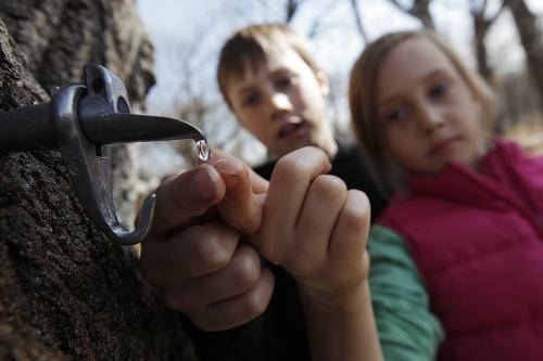March 17, 2012 - 120317  -  Tayem and Sadie Gislason wait for a drop of sap to fall on their fingers from a freshly tapped maple tree at the MAnitoba Maple Syrup workshop at St. Norbert Arts Centre Saturday March 17, 2012.    John Woods / Winnipeg Free Press