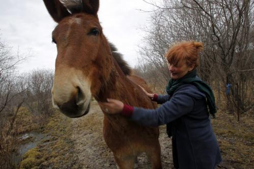WHO: Karin Schlaikjar, originally from Denmark. WHY: Karin is just one of those unforgettable characters, so personable, rescues wildlife. Should shoot her and her Molly the Mule, very affectionate mule she gave a home to in her backyard. March 29, 2012  BORIS MINKEVICH / WINNIPEG FREE PRESS