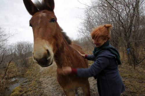 WHO: Karin Schlaikjar, originally from Denmark. WHY: Karin is just one of those unforgettable characters, so personable, rescues wildlife. Should shoot her and her Molly the Mule, very affectionate mule she gave a home to in her backyard. March 29, 2012  BORIS MINKEVICH / WINNIPEG FREE PRESS