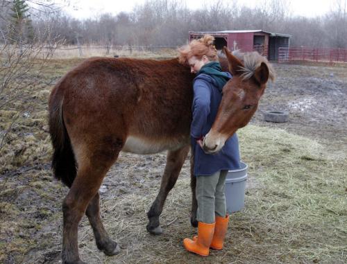 Molly gives Karin a hug in his own special way. WHO: Karin Schlaikjar, originally from Denmark. WHY: Karin is just one of those unforgettable characters, so personable, rescues wildlife. Should shoot her and her Molly the Mule, very affectionate mule she gave a home to in her backyard. March 29, 2012  BORIS MINKEVICH / WINNIPEG FREE PRESS