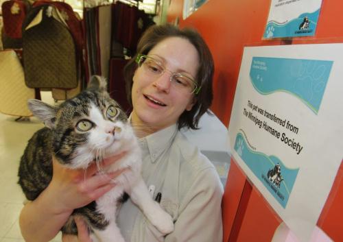 Petland has stopped getting dogs and cats from breeders and now deal directly with the Humane Society. Bonnie Brissette, manger of the Petland store at 1910 Pembina holds a cat named Huckleberry in the store. April 3, 2012  BORIS MINKEVICH / WINNIPEG FREE PRESS