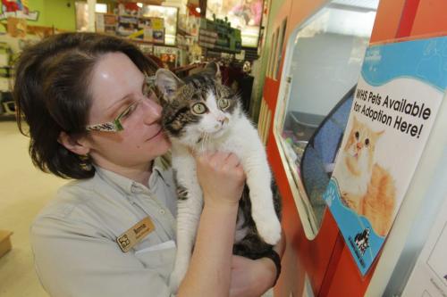 Petland has stopped getting dogs and cats from breeders and now deal directly with the Humane Society. Bonnie Brissette, manger of the Petland store at 1910 Pembina holds a cat named Huckleberry in the store. April 3, 2012  BORIS MINKEVICH / WINNIPEG FREE PRESS