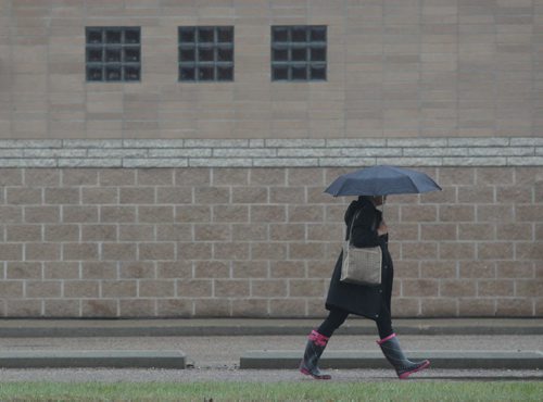 Brandon Sun A pedestrian makes her way along Victoria Avenue under the protection of her umbrella on a rainy Friday afternoon. (Bruce Bumstead/Brandon Sun)