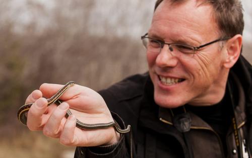 Ingo Heinrich, a tourist from Cologne, Germany, holds a male garter snake at the Narcisse snake dens north of Inwood on Monday. The snakes normally emerge from their wintering dens at the end of April, but officials have noticed an earlier than normal emergence this spring due to warmer temperatures.  120423 - Monday, April 23, 2012 -  Melissa Tait / Winnipeg Free Press
