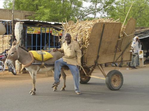 Donkeywagon: Man towing straw on highway on main highway west of Niamey, Niger. May 5 2012. BARTLEY KIVES / WINNIPEG FREE PRESS