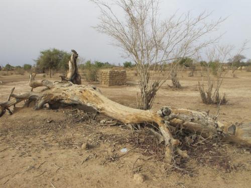 Nigerscene: Dry soil at end of dry season in rural Niger. May 5 2012. BARTLEY KIVES / WINNIPEG FREE PRESS