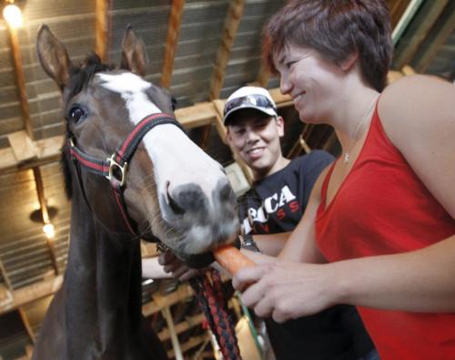 Jockey Jennifer Reid gives Mining Town a carrot snack, while groom Curtis Gamble holds the reins at the barns at Assiniboia Down on Wednesday. Reid rode Mining Town to a win during the eighth race of opening day at the Downs on Sunday. May 09, 2012. SARAH O. SWENSON / WINNIPEG FREE PRESS