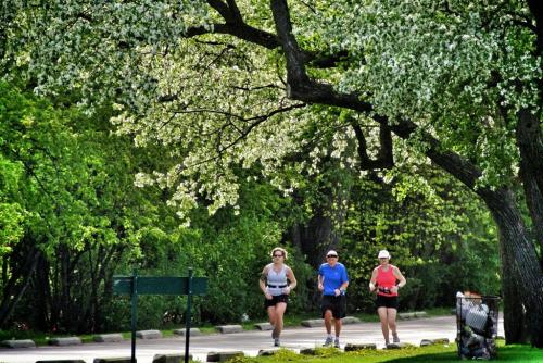 Runners were out in the dozens Sunday morning in Assiniboine Park with temperatures already at 11c by 9:30 A.M. 120513 May 13, 2012 Mike Deal / Winnipeg Free Press