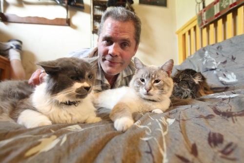 Darcy Canty with his 3 cats - scraggly persian cate "Kiki" and his two other's at his home. 
Names of cats - "Kiki" dark Persian, "Jinxy" cream and "Sylvestor" black and white.
See Gordon Sinclair story Photo Ruth Bonneville Winnipeg Free Press