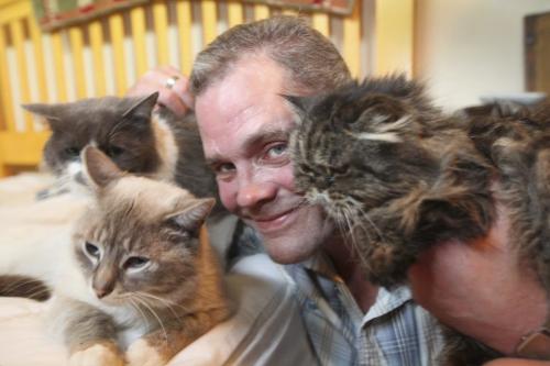 Darcy Canty with his 3 cats - scraggly persian cate "Kiki" (right) and his two other's at his home.
Names of cats - "Kiki" dark Persian, "Jinxy" cream and "Sylvestor" black and white.
 See Gordon Sinclair story Photo Ruth Bonneville Winnipeg Free Press