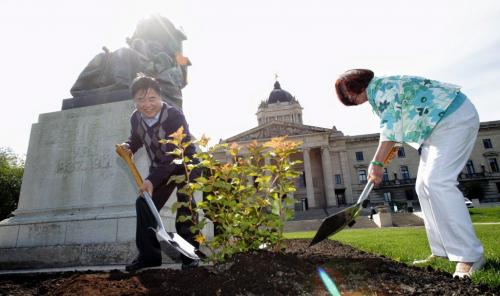 Lt.-Gov. Philip S. Lee and Culture, Heritage and Tourism Minister Flor Marcelino plant two Amber Jubilee Ninebark shrubs beside the statue of Queen Victoria on the north lawn on the grounds of the Manitoba Legislative Building in honour of Queen Elizabeth's Diamond Jubilee on Victoria Day.  120521 May 21, 2012 Mike Deal / Winnipeg Free Press