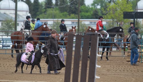 Brandon Sun Riders get set for an afternoon of event at the Wheat City Classic Horse Show held in the outdoor show ring of the Keystone Centre on Sunday. (Bruce Bumstead/Brandon Sun)
