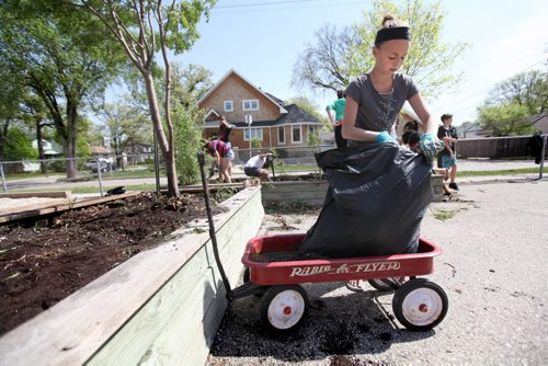 Aby gets ready to carry a garbage bag full of weeds from the schools gardens to the trash bin as her class works on cleaning up the yard and gardens for spring planting.  See Doug Speirs story Windsor School 2017 project. May 28  2012 (Ruth Bonneville/Winnipeg Free Press)