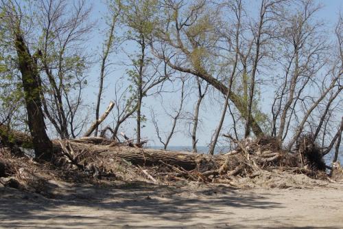 Delta Beach flood damage. May 30,  2012  BORIS MINKEVICH / WINNIPEG FREE PRESS