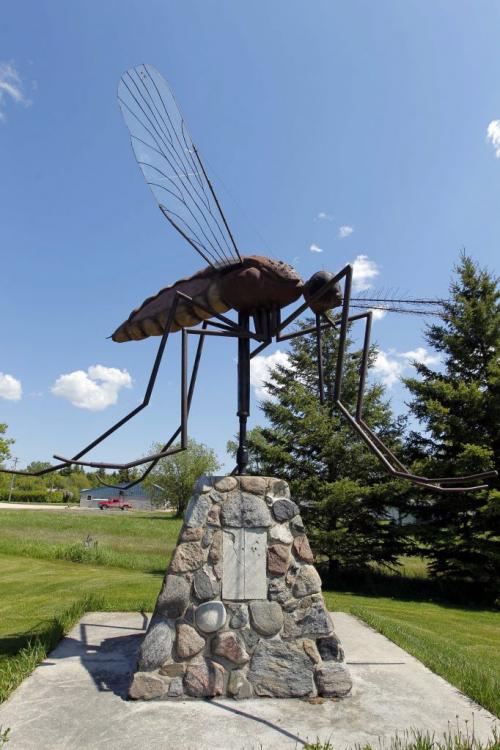 Komarno is Ukrainian for mosquito.  There is a 4.6 meter statue of a mosquito, built in 1984 in Komarno, Manitoba. May 31, 2012  BORIS MINKEVICH / WINNIPEG FREE PRESS