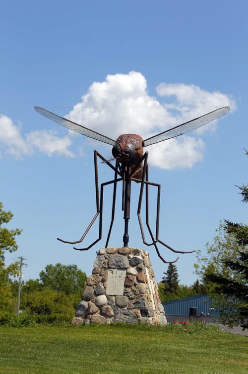Komarno is Ukrainian for mosquito.  There is a 4.6 meter statue of a mosquito, built in 1984 in Komarno, Manitoba. May 31, 2012  BORIS MINKEVICH / WINNIPEG FREE PRESS
