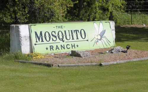 A house that has the sign "The Mosquito Ranch" on #7 and #67 wighway just north of Winnipeg. May 31, 2012  BORIS MINKEVICH / WINNIPEG FREE PRESS