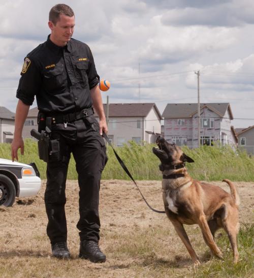 Const. Jeff Katcher tosses a ball to police service dog Riley after the official ground breaking for the new Winnipeg Police Service Canine Unit building. Air conditioned kennels and new dog runs await the current service dogs and breeding program. 1206101 - Saturday, June 1, 2012 -  Melissa Tait / Winnipeg Free Press
