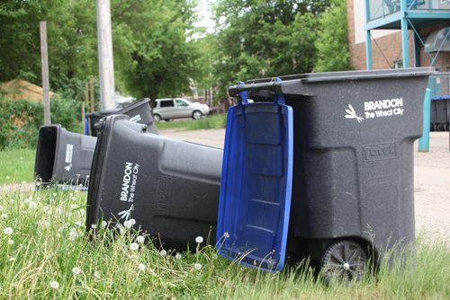 Brandon Sun 13062012 Garbage bins and recycling bins line lawns bordering the alley behind 3rd St. in Brandon on Wednesday.  (Tim Smith/Brandon Sun)