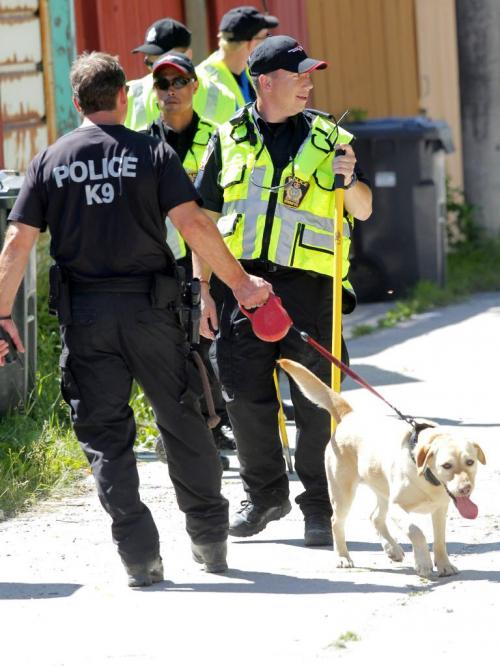 Police dogs and cadets search the back lane of the odd side of Simcoe near Notre Dame for evidence. June 28, 2012  BORIS MINKEVICH / WINNIPEG FREE PRESS
