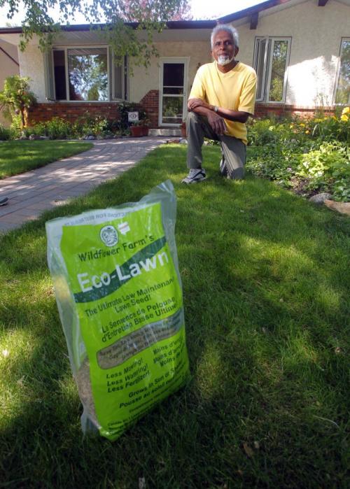 Winston Madray  with his special grass seed blend called Eco Lawn. Green Page to go with Lindsey Wiebe yarn. July 5, 2012  BORIS MINKEVICH / WINNIPEG FREE PRESS