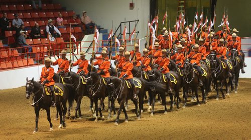 Brandon Sun Lead by Superintendent Marty Chesser, members of the RCMP Musical Ride enter Westman Place for their first of four performances at the North American Belgian Championships on Wednesday afternoon. (Bruce Bumstead/Brandon Sun)